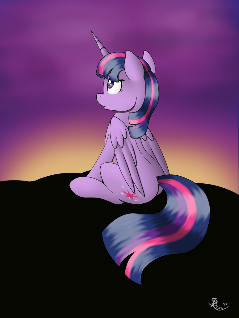 looking_at_the_twilight_by_littlespiritr