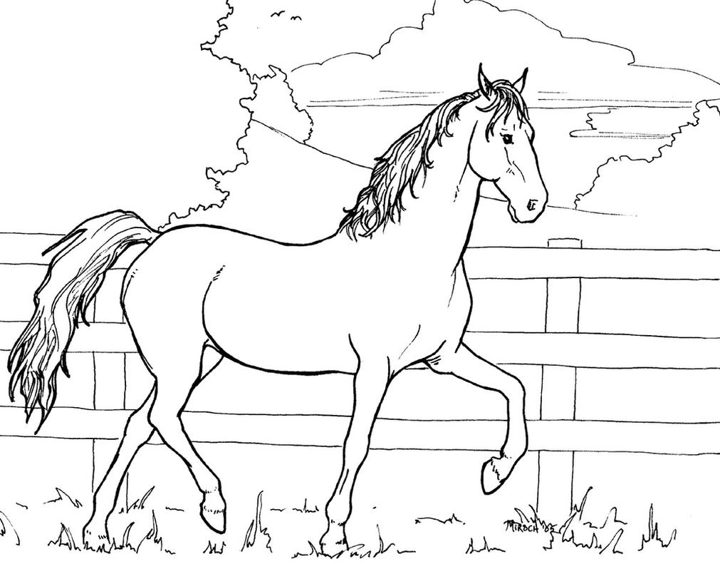 e30613 coloring pages - photo #47