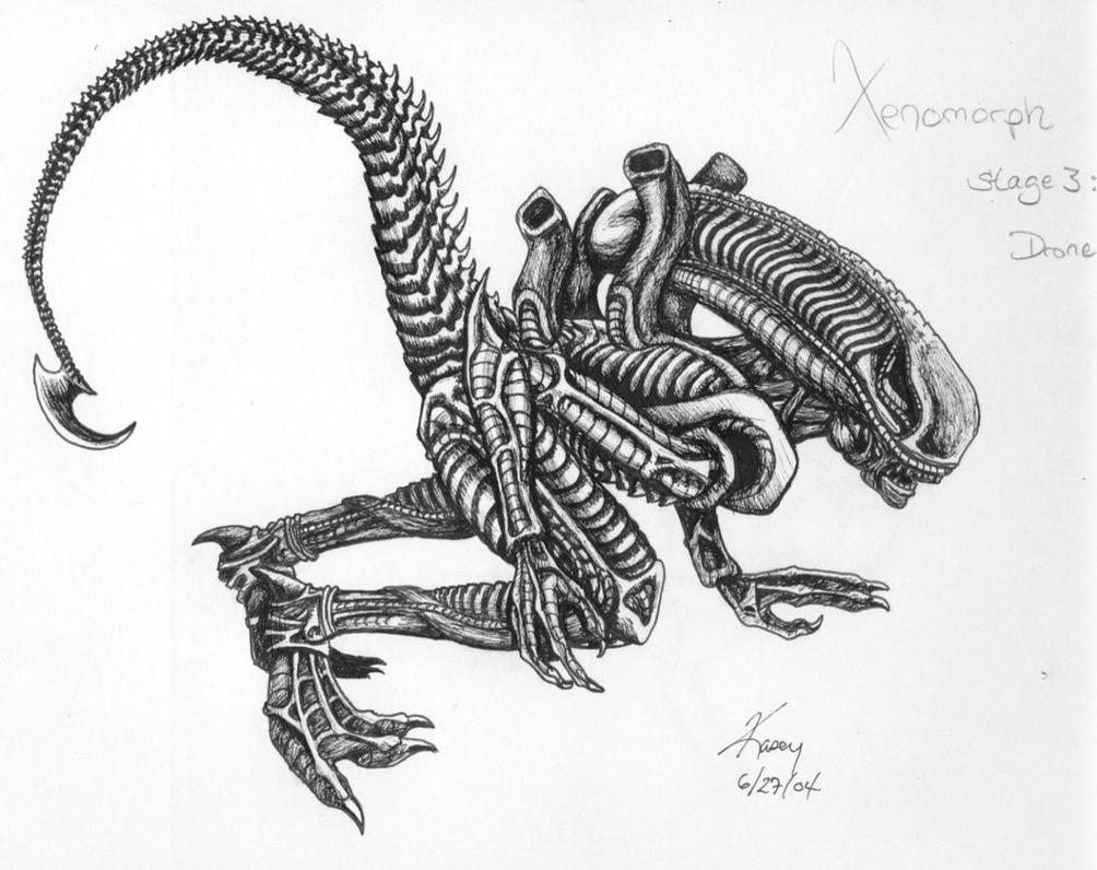 xenomorph drone coloring pages - photo #7