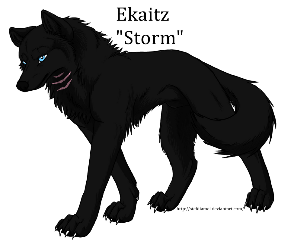 wolf_group_character_1_for_starwolf_by_k
