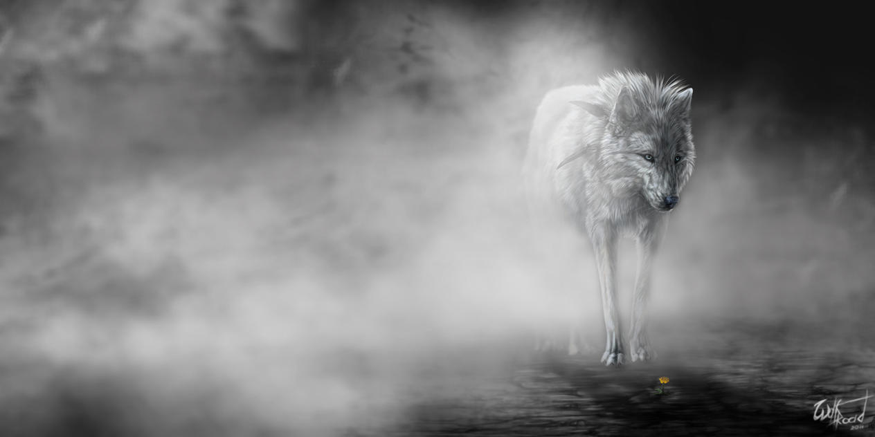 http://pre12.deviantart.net/87aa/th/pre/i/2011/315/0/5/the_fog_by_wolfroad-d4fto01.jpg