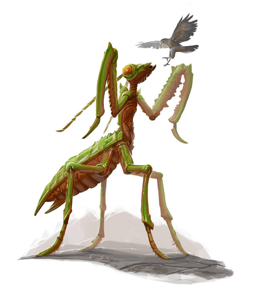 Deadly Mantis [1978]
