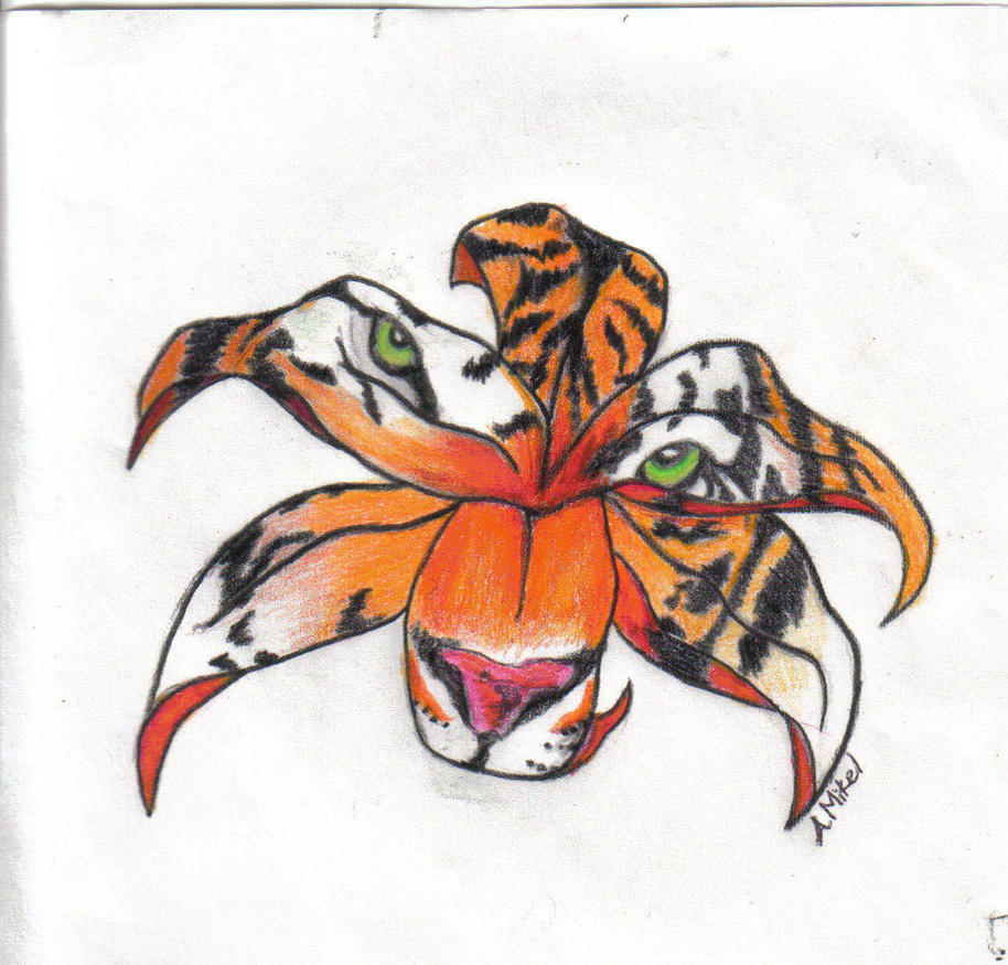 Tiger lily by shasta-trinity on DeviantArt